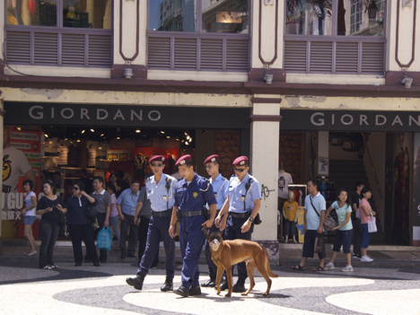 旧市街地で防犯パトロールを行うマカオ治安警察局の警察官と警察犬のチーム（資料）＝マカオ・聖ドミニコ広場—本紙撮影