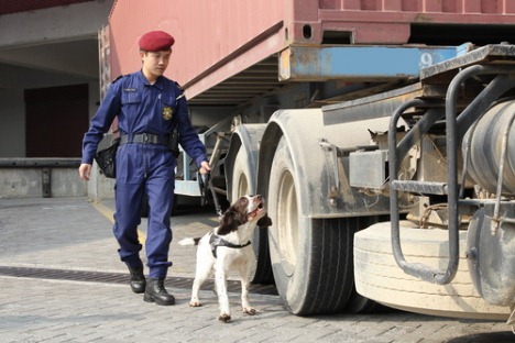 イミグレーションでは麻薬探査犬が活躍 (c) 治安警察局