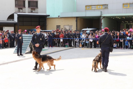 警察犬も訓練の成果を披露 (c) 治安警察局