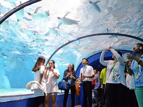 9月14日に長隆海洋王国を訪れたAPEC視察団（写真：新聞局）