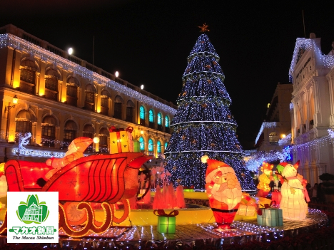 毎年デザインが変わるセナド広場のクリスマスツリー（写真は2012年）―本紙撮影