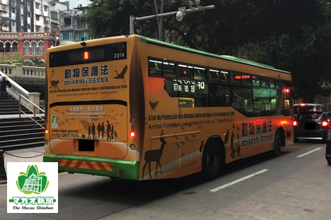動物保護法施行を告知する政府広報を掲出したマカオの公共バス（資料）－本紙撮影