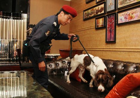 警察犬による調査の様子（写真：マカオ警察総局）