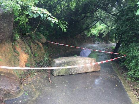 タイパ島・大譚山トレッキングコースの落石事故現場＝2017年6月17日（写真：IACM）