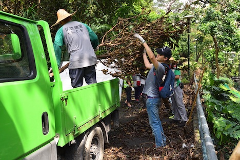 IACM職員と民間ボランティアの協力による倒木の除去作業の様子（写真：IACM）
