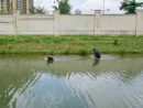 密入境者に扮してキャンパス外周の水路を進むマカオ税関職員=2018年7月9日(写真:澳門海關)