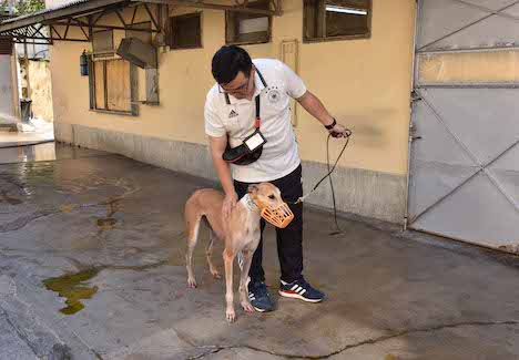 レース犬の健康状態を確認するIACMの職員＝2018年7月20日（写真：IACM）