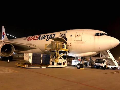 マカオ国際空港に駐機中のマレーシア航空の貨物専用機（写真：CAM）