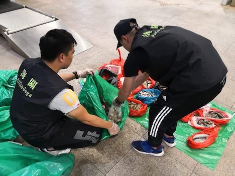 マカオ税関が押収した未検疫食材の一部（写真：澳門海關）