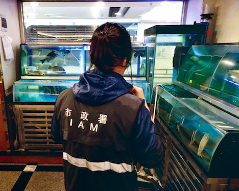 マカオ市政署による市内の食用魚類取扱業者に対する衛生巡回検査の様子（写真：IAM）