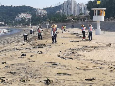 ハクサビーチに通常より多くのゴミが漂着し、人手を増やして清掃作業が実施された＝2019年6月16日（写真：DSAMA）